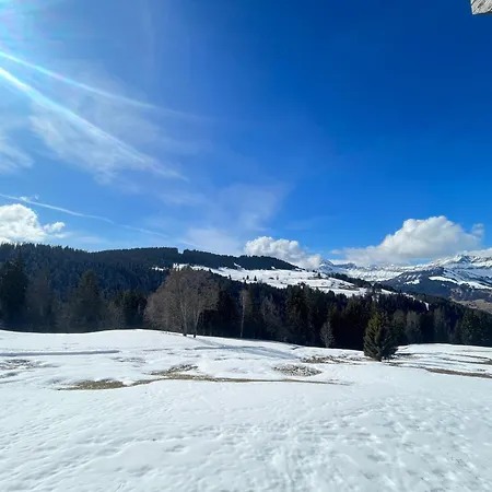 De Prestige 10 Pers, Proche Pistes, Wifi, Stationnement - Fr-1-505-223 Chalet